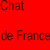 chat-france.jpg