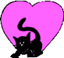 chat_coeur.gif