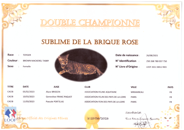 sublime-double-champ.gif